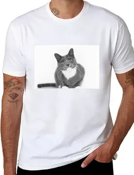 Grey and white cat T-Shirt t shirt man designer t shirt man cotton T-Shirt - Aliexpress - FashionsVida