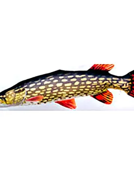 Gaby Il Cuscino Gigante Pike