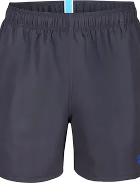 Fundamentals R Herren Badehose, grau L
