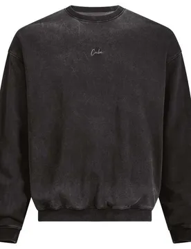 Sweat-shirt Organic Script Gty Fit