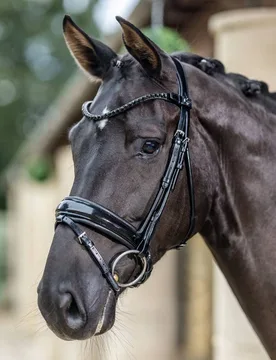 Kudos Trense Patent Dressage Bridle, black/black X-Full - Le Mieux - FashionsVida