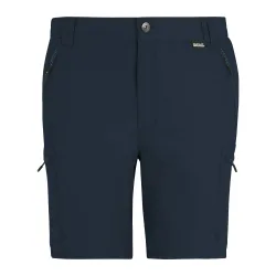 Mens Leesville Iii Shorts (Navy) - Size 44 Regular