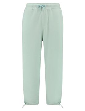 Shiwi Pantalón verde pastel