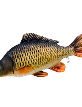 Gaby Cuscino The Common Carp Giant