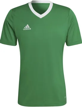 Entrada 22 Trikot Herren Trikot, grün L - Adidas - FashionsVida