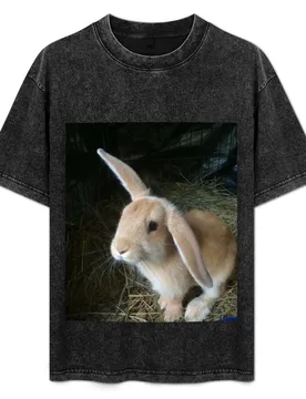 Little Tan Bunny With One Lop Ear T-Shirt Breathable Sportswear T-Shirt for Men - Aliexpress - FashionsVida