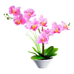 Deko-Traum "Orchidee" mehrfarbig