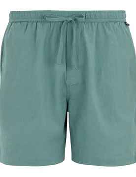 Mens Hadlin Shorts (Arctic) - Blue - Size X-Large - Regatta - FashionsVida
