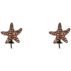 Orecchini Jla-ear-star Brown / Ip Black One Size