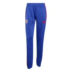 Damen Jogginghose OL DNA 2026/27 - Bleu - female - Size: S