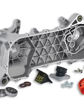 Carter Motore Completo Rc-One (Per Motore Piaggio) Derbi Gp1 50 2t Lc - Malossi - FashionsVida