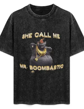 Biggie Cheese - She Call Me Mr Boombastic T-Shirt Trendy Print Short Sleeve T-Shirt - Aliexpress - FashionsVida