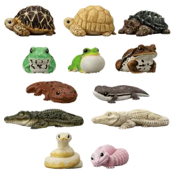 Shokugan: Tenori Friends Wave 12 (Reptiles & Amphibians) Display of 12