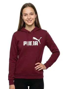 Sweat à Capuche Essential Nº1 Logo Garnet Glow L