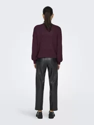 ONLCAROL NICE L/S CARDIGAN KNT NOOS female