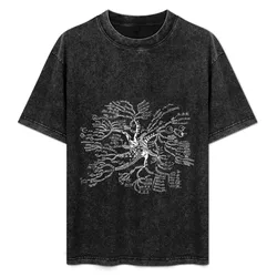 Math tree [dark] T-Shirt Basic Tee Shirt for Everyday Outfit