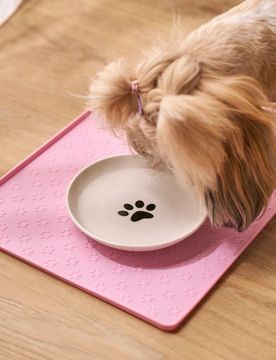 Sinsay - Ciotola per cani - panna