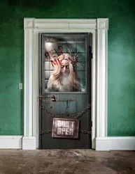 Irrenanstalt Türposter Halloween-Deko bunt 85x165cm