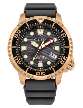 Orologio Promaster BN0163-00H