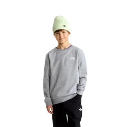 Felpa Evolution Simple Dome TNF Pale Grey Heather M