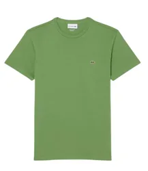 Lacoste T-shirt e Polo Verde