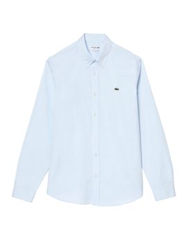 Lacoste Camicie Azzurro