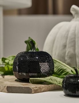Sinsay - Ornamento in piedi - nero