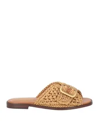 Sandalias Mujer Marrón 35.5 Mujer