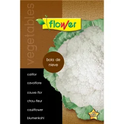 Flower - Sobre semillas coliflor