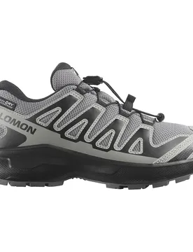 Scarpe Da Trail Running Xa Pro Wp Sedona Sage / Black / Wrought Iron EU 39