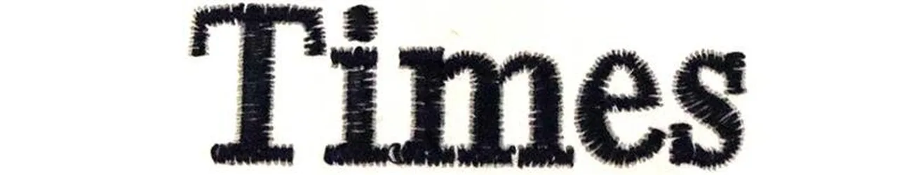 Stickservice Hundedecke bis zu 10 Buchstaben Times beige gerade links