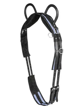 Longiergurt mit zwei Handgriffen, schwarz/grau Mini-Shetty - Waldhausen - FashionsVida