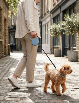 Guinzaglio per cane - blu pallido