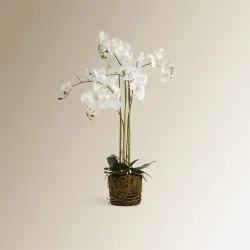 Planta artificial Orquídea sobre base natural