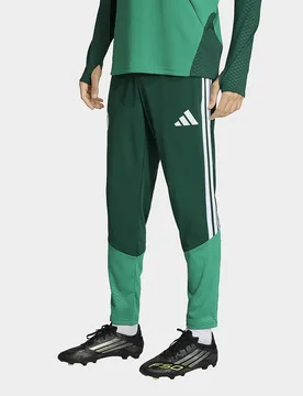 Mens Pantaloni Da Allenamento Algeria 26 - Verde, verde verde Uomo taglia 3XL - Adidas - FashionsVida