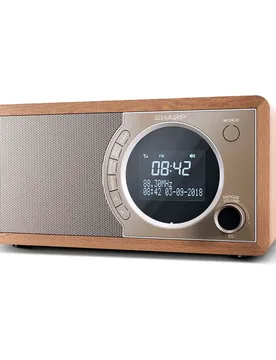 Radio Numérique Dr-450 (br) Brown One Size unisex - Sharp - FashionsVida