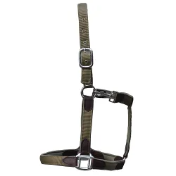 Halfter CHOLET, Nylon-Neopren-Leder, olive PONY