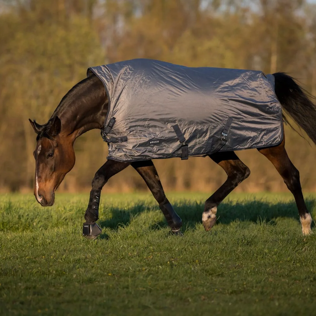 Outdoordecke RAIN-DEAR 100 grau (navy) 115 cm - Busse - FashionsVida