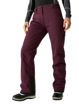 Dare2b Pantalon Ice Fig 46 Femme