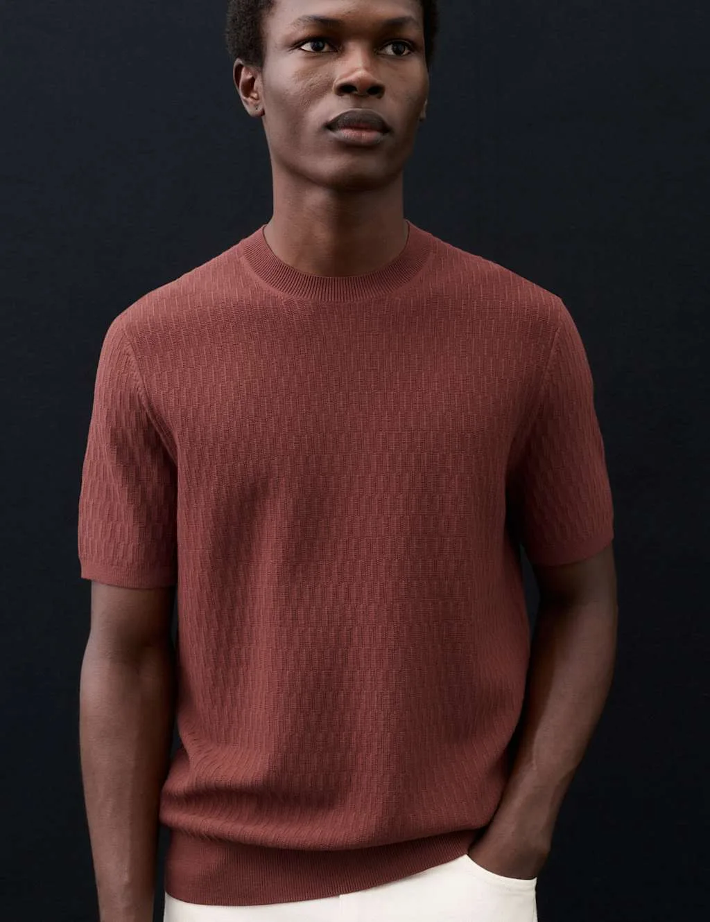 Textured Knitted T-Shirt Chestnut male - Autograph - FashionsVida