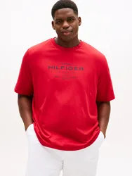 BT-HILFIGER STACK GRAPHIC TEE-B male