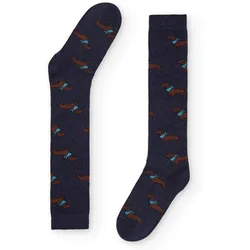 Socken Teckel17l 36 / 40;41 / 46 Male
