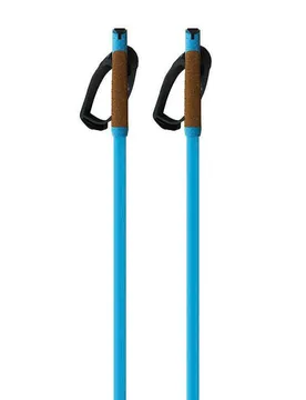 Bâtons Storm Gtx L Blue 170 cm Homme - fischer - FashionsVida