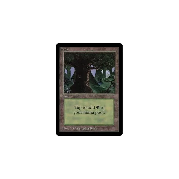 Forest (#1) Beta - Magic: The Gathering - FashionsVida