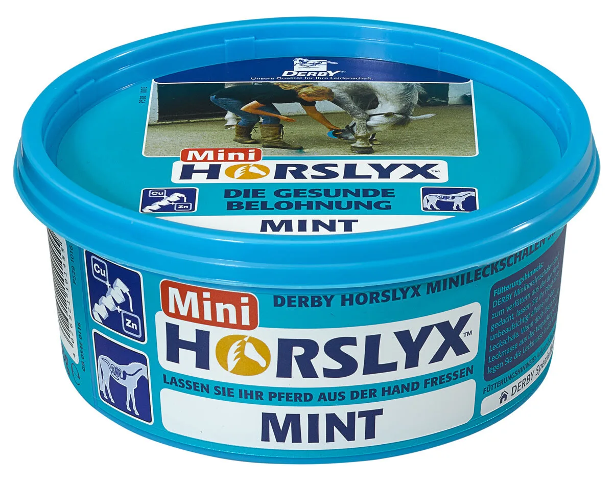 Derby HORSLYX Minileckschale - MINT - Derby - FashionsVida