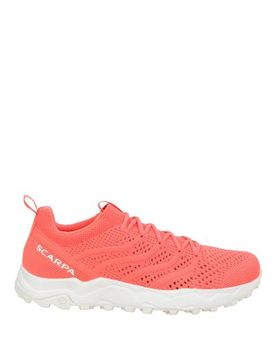 Sneakers Hombre Fucsia 37,37.5,38,38.5,39,39.5,40,40.5,41,41.5,42,43,44,45.5 Hombre