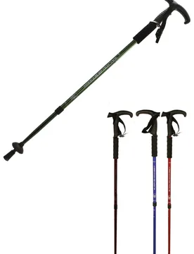 Two Section Telescopic Walking Pole - Assorted - Out There - FashionsVida