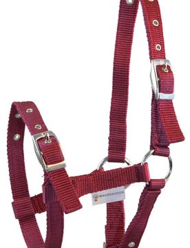 Fohlenhalfter TRIPLE bordeaux