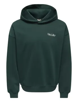 ONPARK GALLERY RLX WEAT HOODIE male