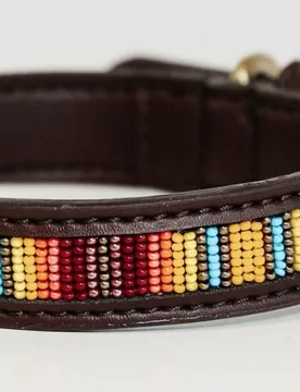 Kentucky Dogwear handgemachtes Hundehalsband PEARLS orange M - Kentucky Horsewear - FashionsVida